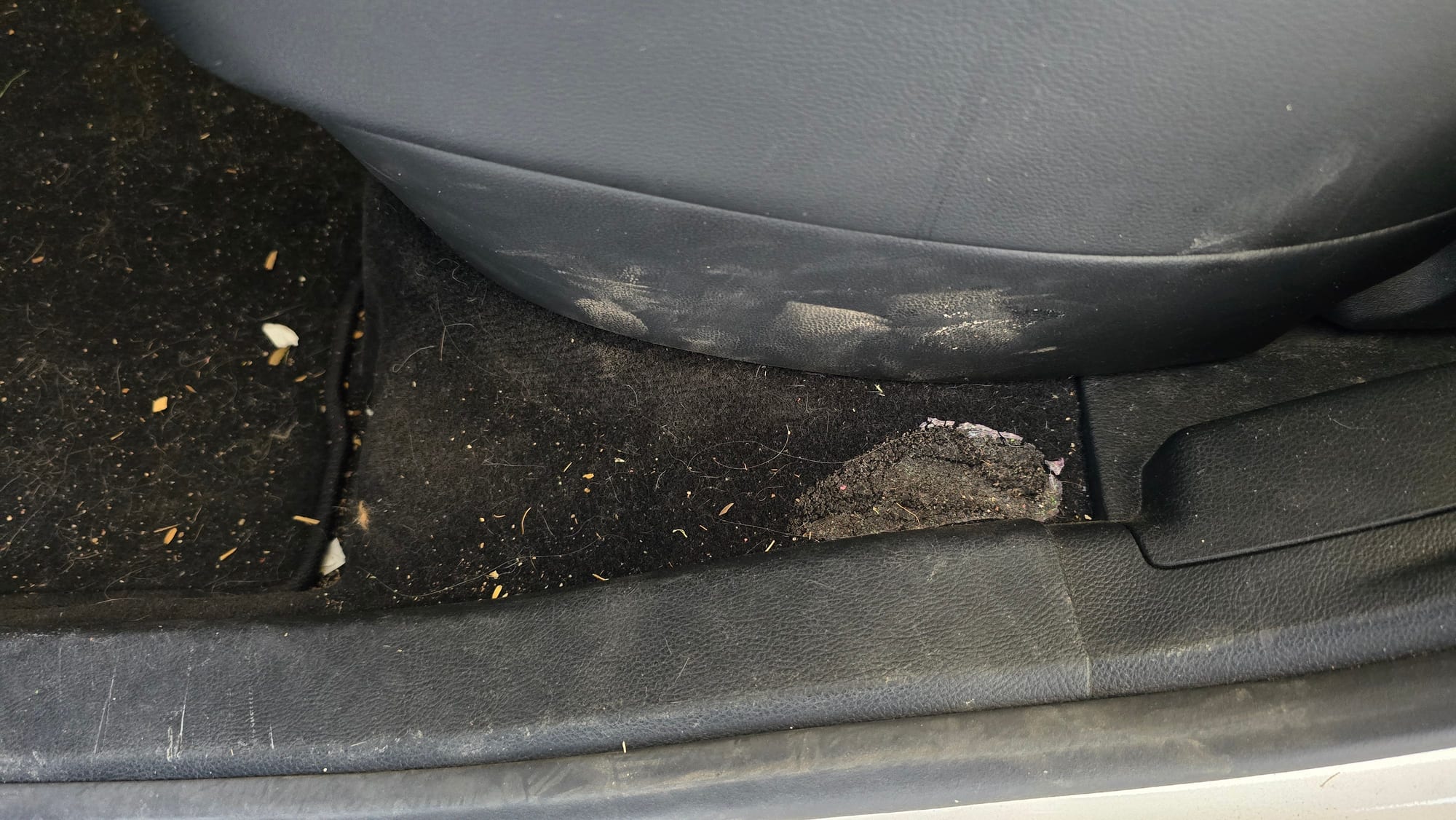 Vehicle carpet — before