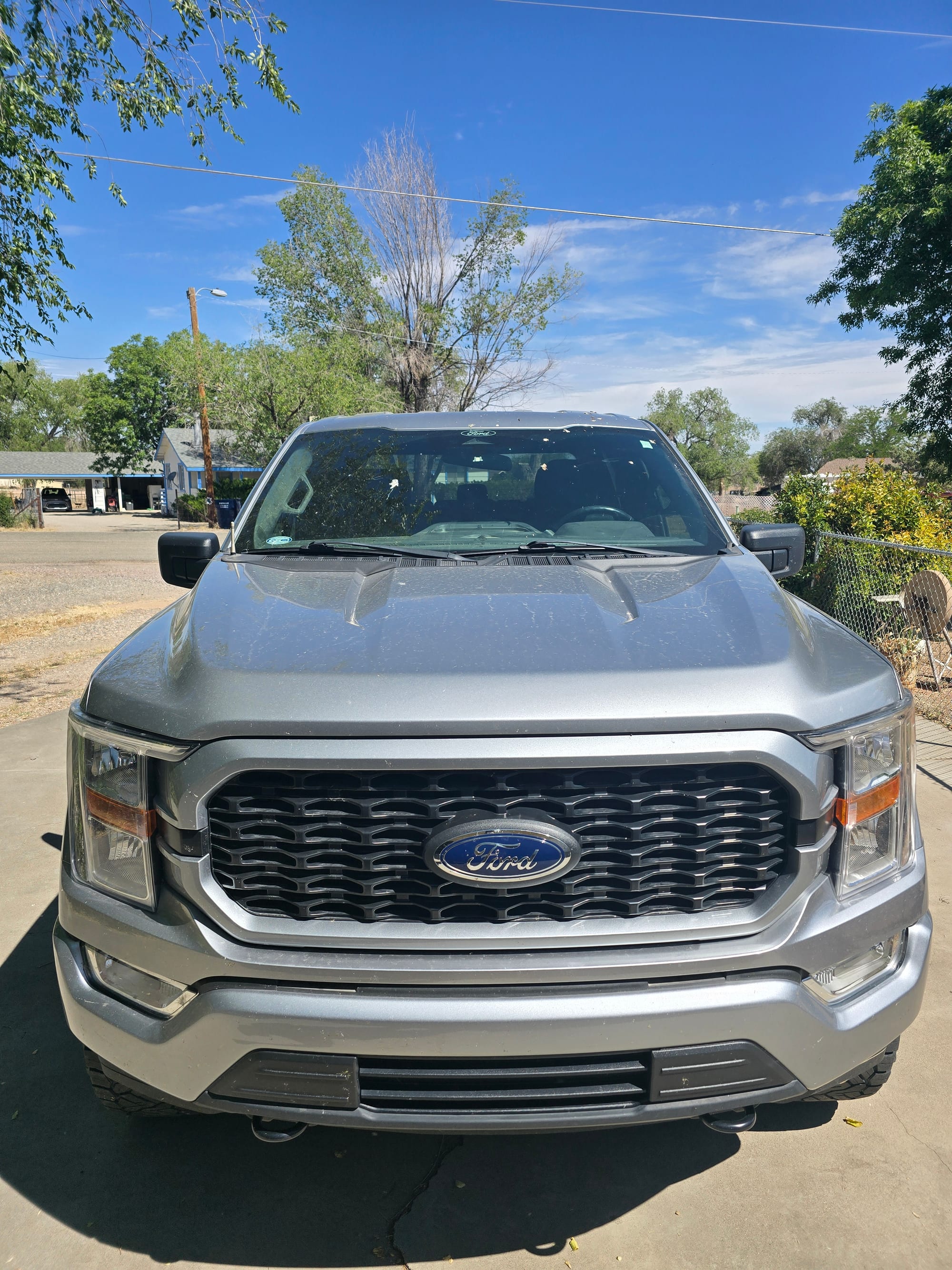 Ford F-150 Grille & front end — before